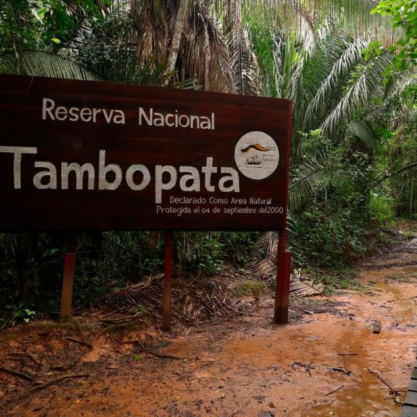Tours en Tambopata  desde Bolivia