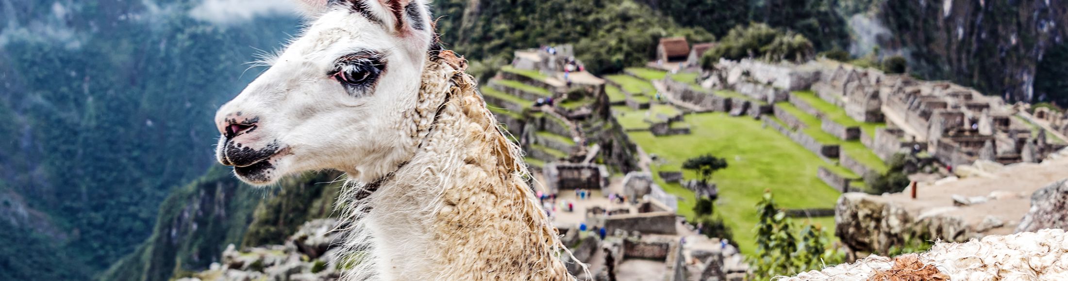 Machu Picchu 8D7N Viajero (Full Cultural)  desde Bolivia
