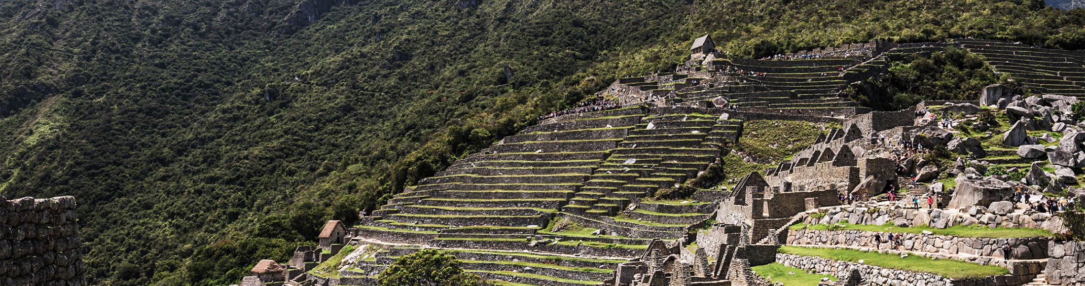 Machu Picchu 8D7N Viajero (Aventura Clásica)  desde Bolivia